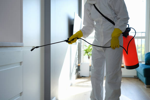 Best Commercial Mold Remediation in Country Clu, MO
