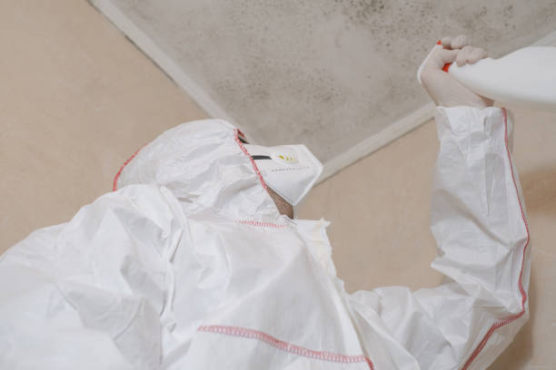Best DIY Mold Remediation Support Services in Country Clu, MO